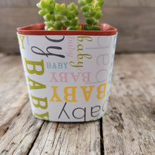 Load image into Gallery viewer, Nursery Pot Wrappers