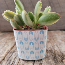 Load image into Gallery viewer, Nursery Pot Wrappers