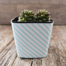 Load image into Gallery viewer, Nursery Pot Wrappers