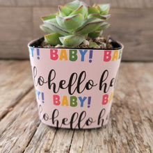 Load image into Gallery viewer, Nursery Pot Wrappers