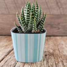 Load image into Gallery viewer, Nursery Pot Wrappers