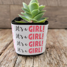 Load image into Gallery viewer, Nursery Pot Wrappers