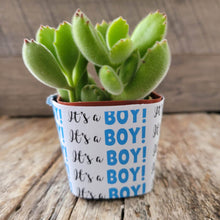 Load image into Gallery viewer, Nursery Pot Wrappers
