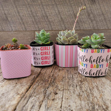Load image into Gallery viewer, Nursery Pot Wrappers