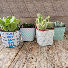 Load image into Gallery viewer, Nursery Pot Wrappers