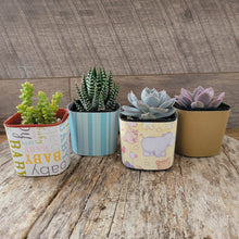 Load image into Gallery viewer, Nursery Pot Wrappers