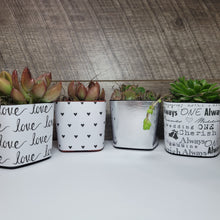 Load image into Gallery viewer, Nursery Pot Wrappers