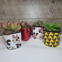 Load image into Gallery viewer, Nursery Pot Wrappers