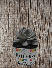 Load image into Gallery viewer, Nursery Pot Wrappers