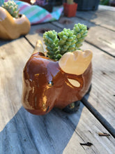 Load image into Gallery viewer, Moose Pot
