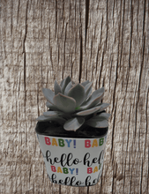 Load image into Gallery viewer, Nursery Pot Wrappers
